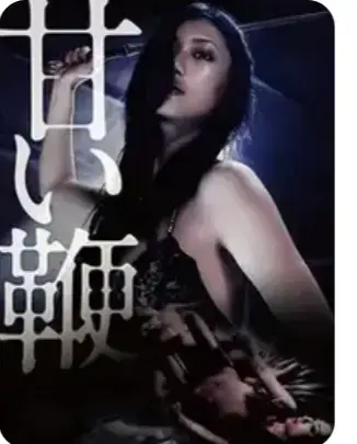 《甜蜜皮鞭》 | 1080P未删减版 | 高清在线 | 中文字幕完整版 | 剧情片免费播放